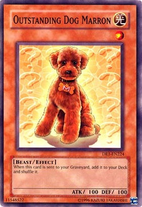 Outstanding Dog Marron [DR1-EN224] Common | L.A. Mood Comics and Games
