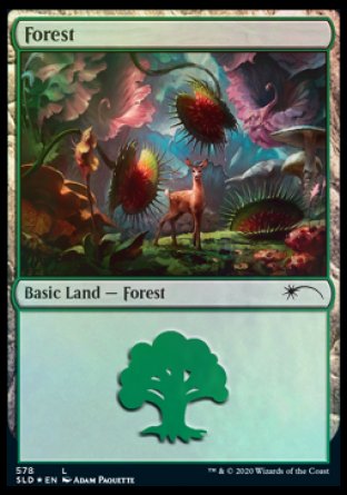 Forest (Predatory) (578) [Secret Lair Drop Promos] | L.A. Mood Comics and Games