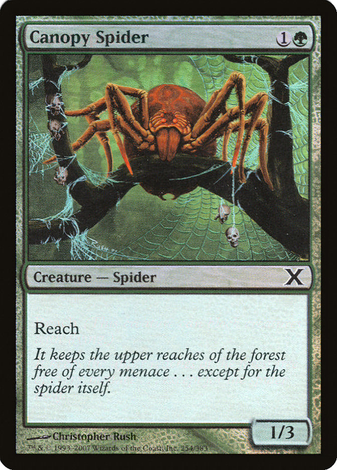 Canopy Spider (Premium Foil) [Tenth Edition] | L.A. Mood Comics and Games