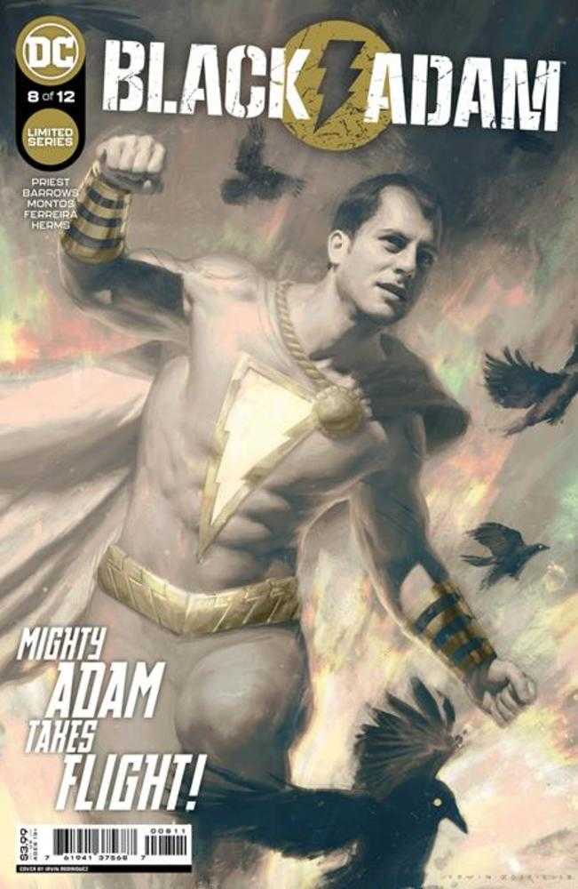 Black Adam #8 (Of 12) Cover A Irvin Rodriguez | L.A. Mood Comics and Games