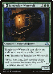 Tangleclaw Werewolf // Fibrous Entangler [Eldritch Moon] | L.A. Mood Comics and Games