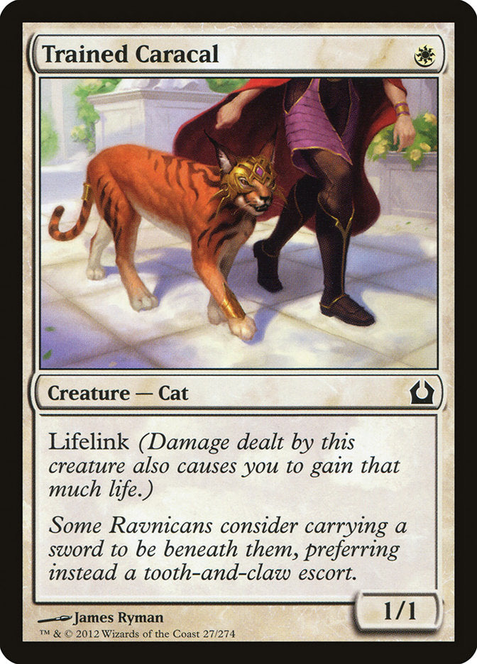Trained Caracal [Return to Ravnica] | L.A. Mood Comics and Games