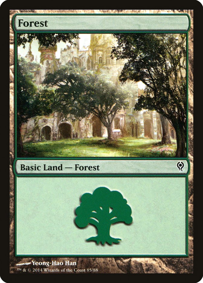 Forest (85) [Duel Decks: Jace vs. Vraska] | L.A. Mood Comics and Games