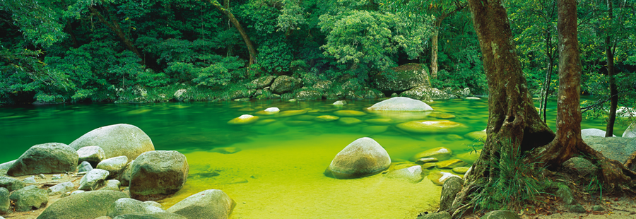 Mossman Gorge (Panorama 1000 pcs) | L.A. Mood Comics and Games