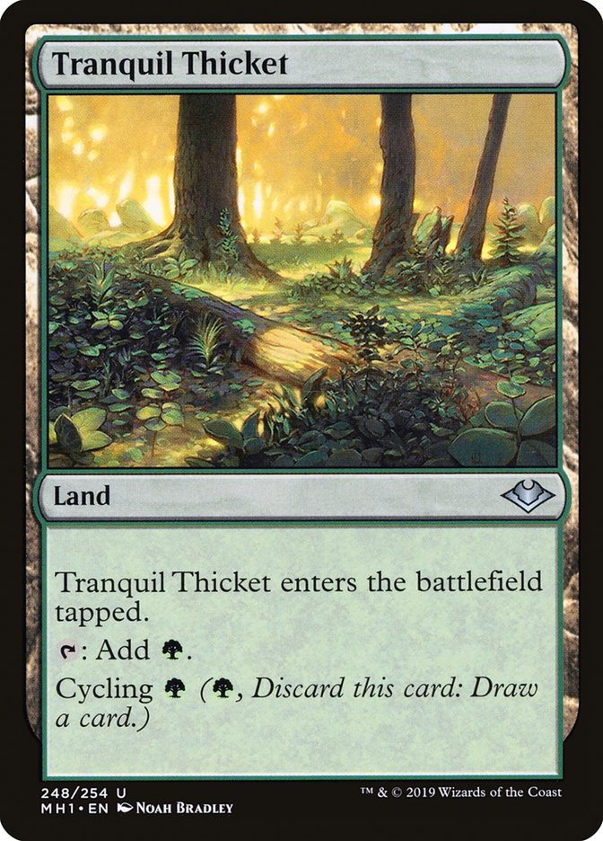 Tranquil Thicket [Modern Horizons] | L.A. Mood Comics and Games