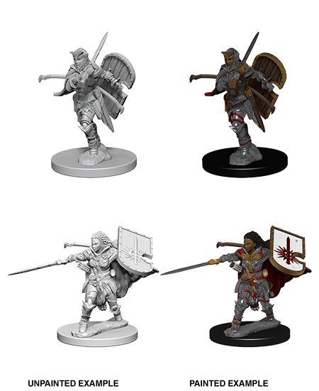 Pathfinder Deep Cuts Unpainted Minis: Human Female Paladin | L.A. Mood Comics and Games