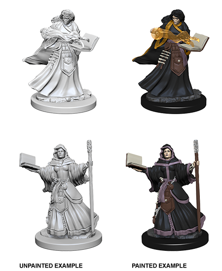 D&D Nolzur's Marvelous Miniatures: Human Wizard | L.A. Mood Comics and Games