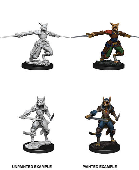 D&D Nolzur's Marvelous Miniatures: Tabaxi Rogue | L.A. Mood Comics and Games