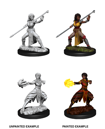 D&D Nolzur's Marvelous Miniatures: Half-Elf Monk | L.A. Mood Comics and Games