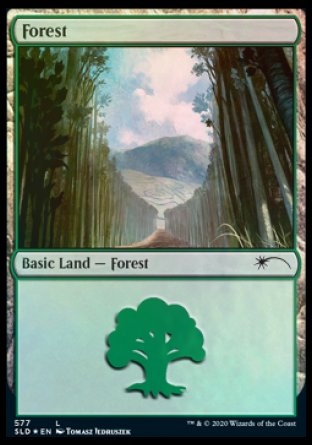 Forest (Walls) (577) [Secret Lair Drop Promos] | L.A. Mood Comics and Games