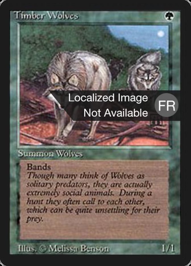 Timber Wolves [Foreign Black Border] | L.A. Mood Comics and Games