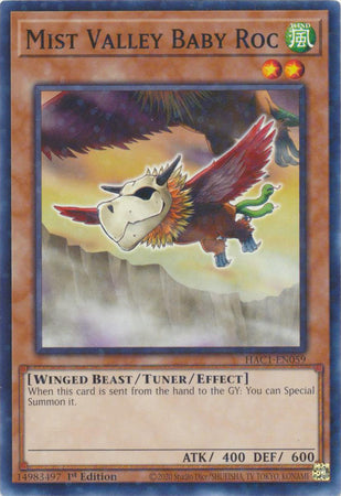 Mist Valley Baby Roc (Duel Terminal) [HAC1-EN059] Common | L.A. Mood Comics and Games
