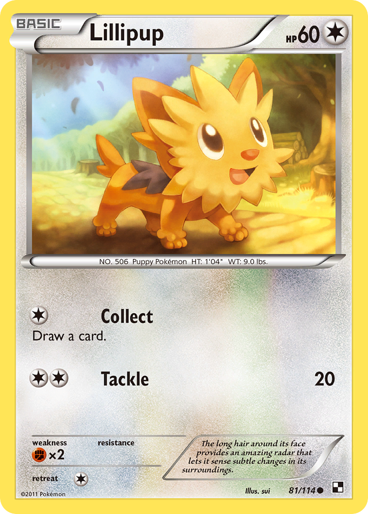 Lillipup (81/114) [Black & White: Base Set] | L.A. Mood Comics and Games