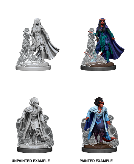 D&D Unpainted Miniatures - Female Tiefling Sorcerer | L.A. Mood Comics and Games