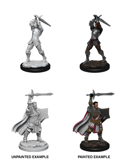 D&D Unpainted Miniatures - Male Human Paladin | L.A. Mood Comics and Games