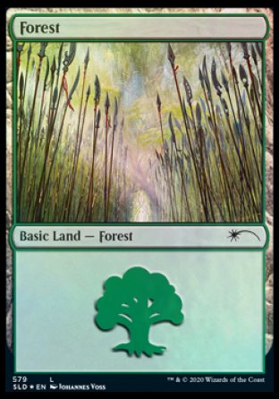 Forest (Elves) (579) [Secret Lair Drop Promos] | L.A. Mood Comics and Games