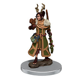 D&D ICONS PREMIUM FIG FEMALE HUMAN DRUID | L.A. Mood Comics and Games