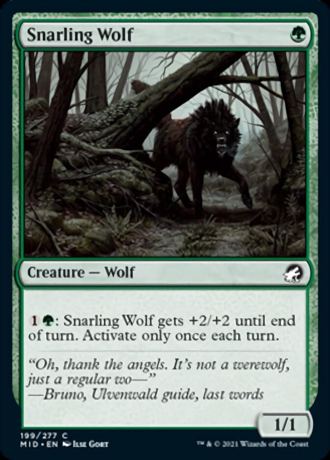 Snarling Wolf [Innistrad: Midnight Hunt] | L.A. Mood Comics and Games