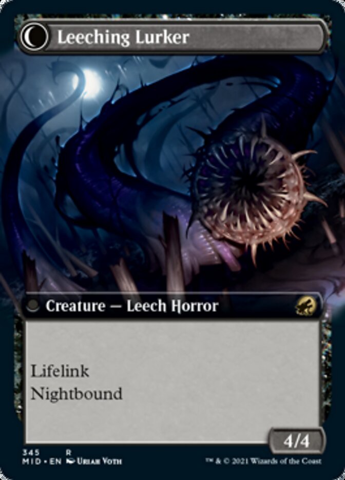 Curse of Leeches // Leeching Lurker (Extended Art) [Innistrad: Midnight Hunt] | L.A. Mood Comics and Games