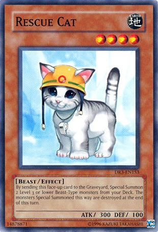 Rescue Cat [DR3-EN153] Common | L.A. Mood Comics and Games
