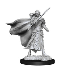 MTG UNPAINTED MINIS WV14 ELF FIGHTER/ELF CLERIC | L.A. Mood Comics and Games