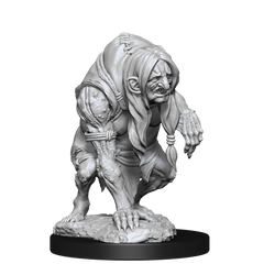 PF UNPAINTED MINIS WV14 ANNIS HAG AND GREEN HAG | L.A. Mood Comics and Games