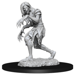 PF UNPAINTED MINIS WV14 ANNIS HAG AND GREEN HAG | L.A. Mood Comics and Games