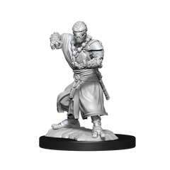 DND UNPAINTED MINIS WV14 WARFORGED MONK | L.A. Mood Comics and Games