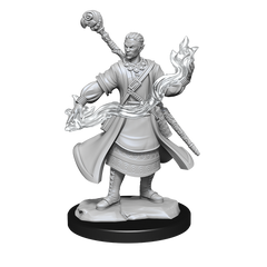 DND UNPAINTED MINIS WV14 HALF-ELF WIZARD MALE | L.A. Mood Comics and Games