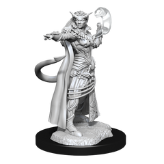 DND UNPAINTED MINIS WV15 TIEFLING SORCERER FEMALE | L.A. Mood Comics and Games