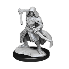 DND UNPAINTED MINIS WV14 WARFORGED ROGUE | L.A. Mood Comics and Games