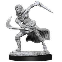 DND UNPAINTED MINIS WV15 AIR GENASI FEMALE | L.A. Mood Comics and Games