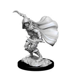 PF UNPAINTED MINIS WV14 HUMAN ROGUE FEMALE | L.A. Mood Comics and Games