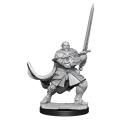 DND UNPAINTED MINIS WV15 HALF-ORC PALADIN MALE | L.A. Mood Comics and Games