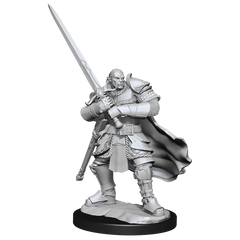 DND UNPAINTED MINIS WV15 HALF-ORC PALADIN MALE | L.A. Mood Comics and Games