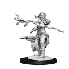 DND UNPAINTED MINIS WV14 HUMAN DRUID FEMALE | L.A. Mood Comics and Games