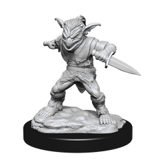 DND UNPAINTED MINIS WV15 GOBLINS MALE ROGUE/FEMALE BARD | L.A. Mood Comics and Games