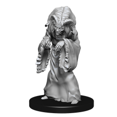 DND UNPAINTED MINIS WV14 NIGHT HAG/DUSK HAG | L.A. Mood Comics and Games