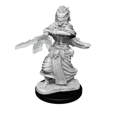 DND UNPAINTED MINIS WV14 NIGHT HAG/DUSK HAG | L.A. Mood Comics and Games