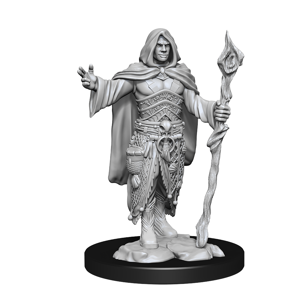 DND UNPAINTED MINIS WV14 HUMAN DRUID MALE | L.A. Mood Comics and Games