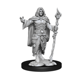 DND UNPAINTED MINIS WV14 HUMAN DRUID MALE | L.A. Mood Comics and Games