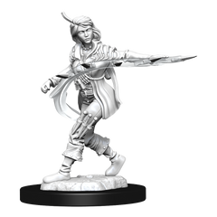 PF UNPAINTED MINIS WV14 HUMAN ROGUE FEMALE | L.A. Mood Comics and Games