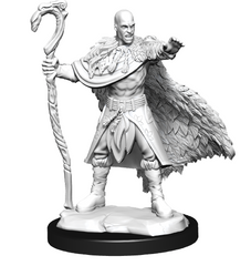 DND UNPAINTED MINIS WV14 HUMAN DRUID MALE | L.A. Mood Comics and Games