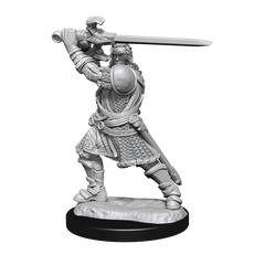 DND UNPAINTED MINIS WV14 HUMAN PALADIN MALE | L.A. Mood Comics and Games