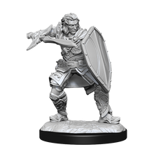 DND UNPAINTED MINIS WV14 HUMAN PALADIN MALE | L.A. Mood Comics and Games