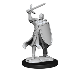 DND UNPAINTED MINIS WV14 HALF-ELF PALADIN MALE | L.A. Mood Comics and Games