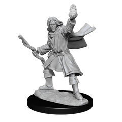 PF UNPAINTED MINIS WV14 ELF SORCERER MALE | L.A. Mood Comics and Games