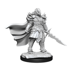 DND UNPAINTED MINIS WV15 DRAGONBORN FIGHTER FEMALE | L.A. Mood Comics and Games