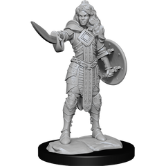 PF UNPAINTED MINIS WV14 HUMAN CHAMPION FEMALE | L.A. Mood Comics and Games