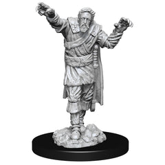 DND UNPAINTED MINIS WV14 SCARECROW/STONE CURSED | L.A. Mood Comics and Games